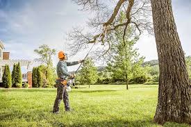 Best Leaf Removal  in Tuckerton, NJ