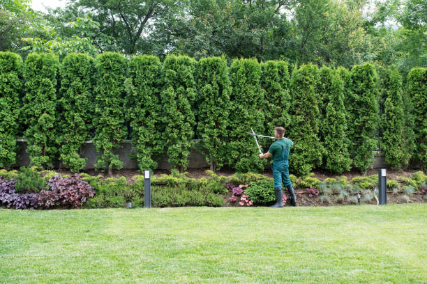 Best Tree Risk Assessment  in Tuckerton, NJ