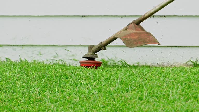 Best Tree Disease Treatment  in Tuckerton, NJ