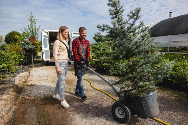 Soil Testing and Treatment in Tuckerton, NJ